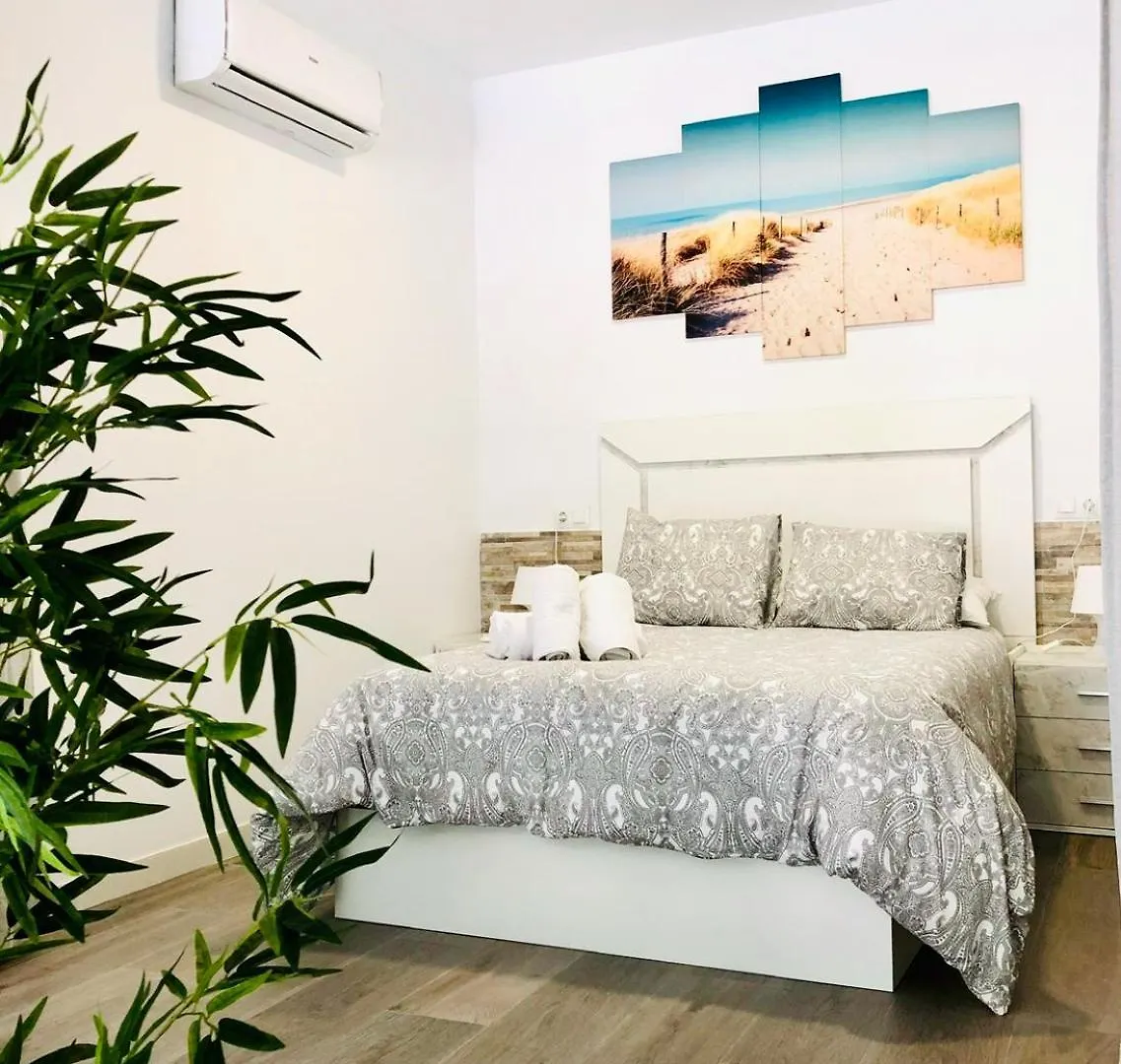 Luxury Carihuela Beach Torremolinos